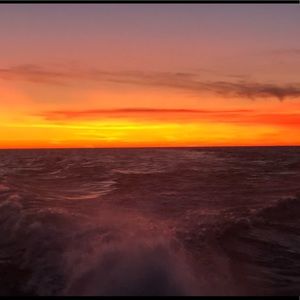 Meet your Posher, Cam